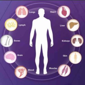 WHOLE BODY CHECKUP