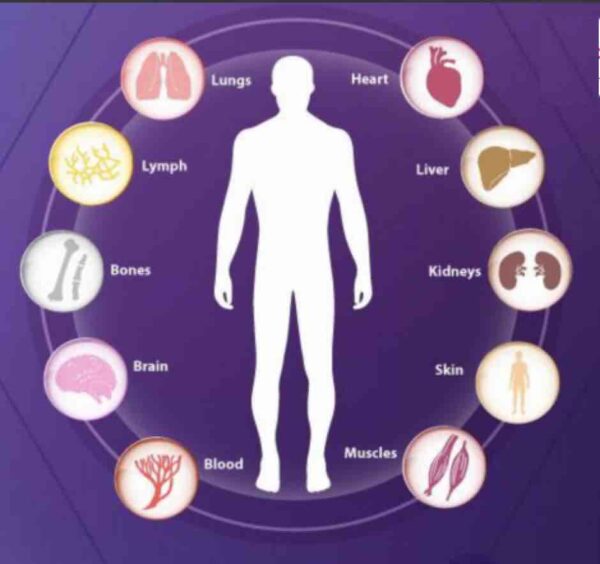 WHOLE BODY CHECKUP