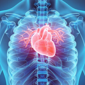 CARDIAC PROFILE