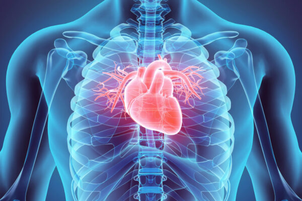 CARDIAC PROFILE